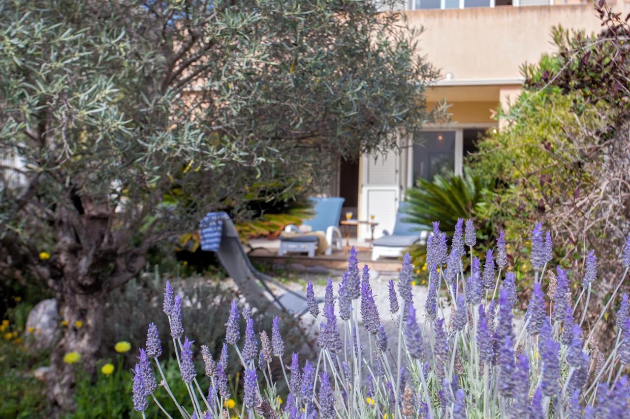 Casa Linda Au Calme Avec Jardin A 900 M Plage Port Et Centre De Calvi Calvi  Exterior photo